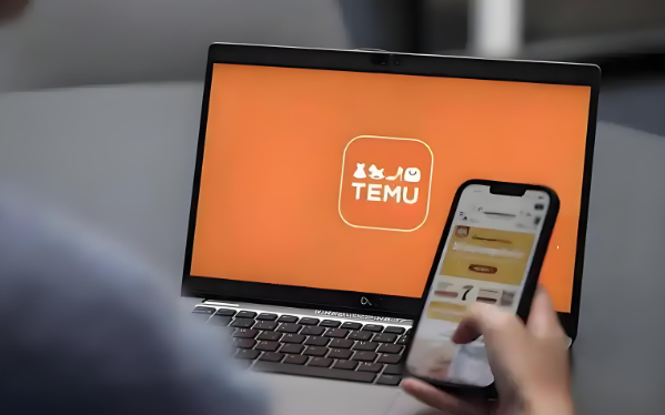 temu只適合在境外有倉庫的嗎
